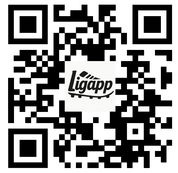 QR WhatsApp Ligapp